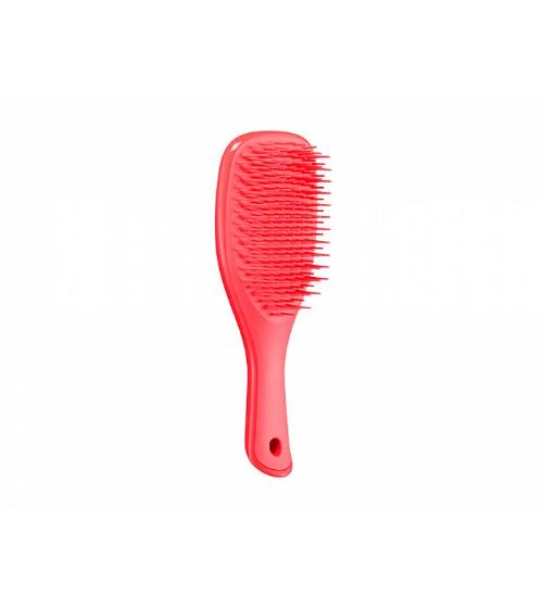 Tangle Teezer Detangling Straight Curly Brush 1702