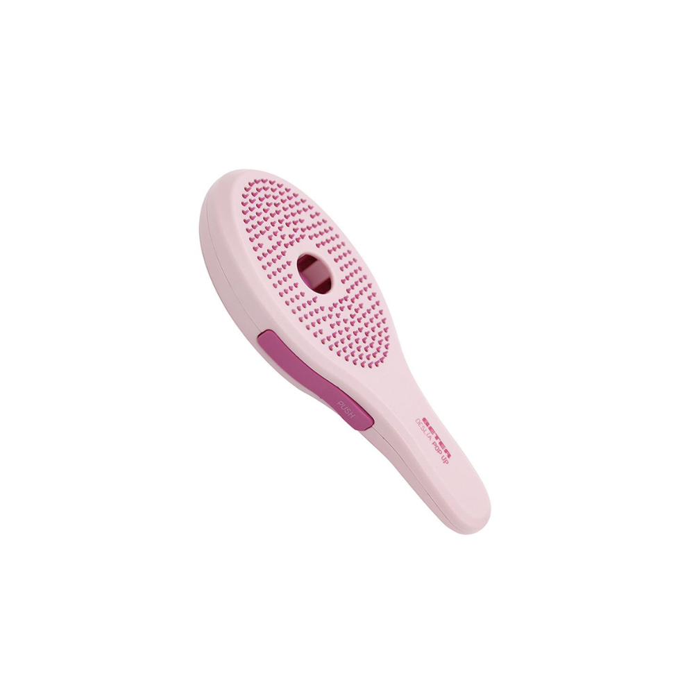Beter Deslia Pop Up Brush 9687